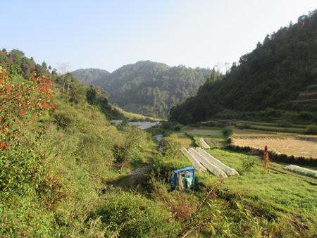 Nepalese valley with polytunnels