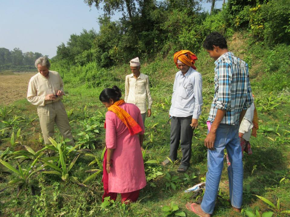 Planting herbs in the Himalayas