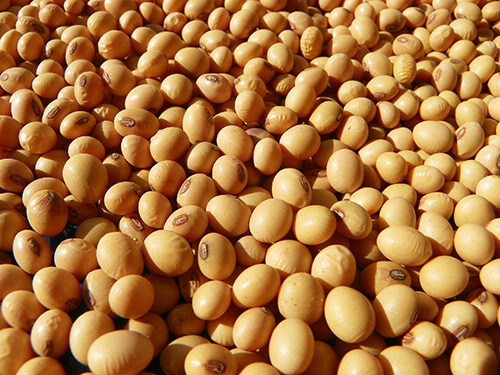 Soybeans