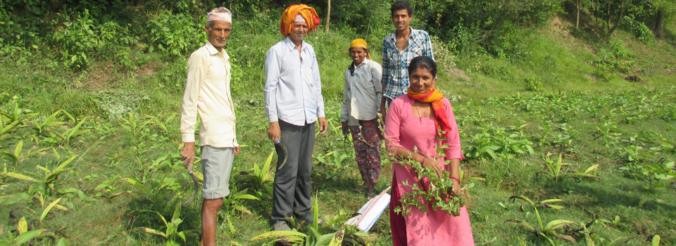 small-scale farmers in Nepal