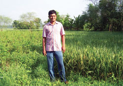 Nandeesh harvests just as much grain from his paddy field as the other farmers in his village without tilling or using any kind of fertiliser or farmyard manure