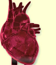stressed heart